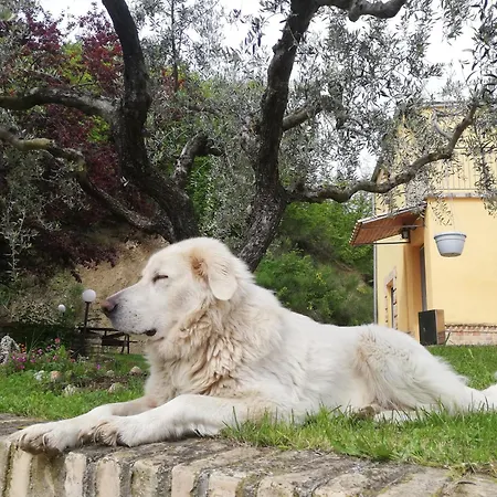 La Vecchia Fontana Séjour à la ferme *