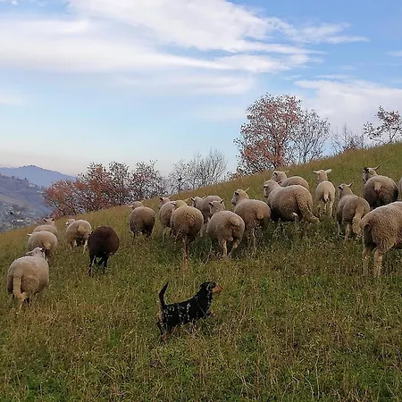 La Vecchia Fontana Séjour à la ferme *