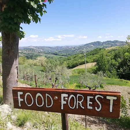 La Vecchia Fontana Farm stay
