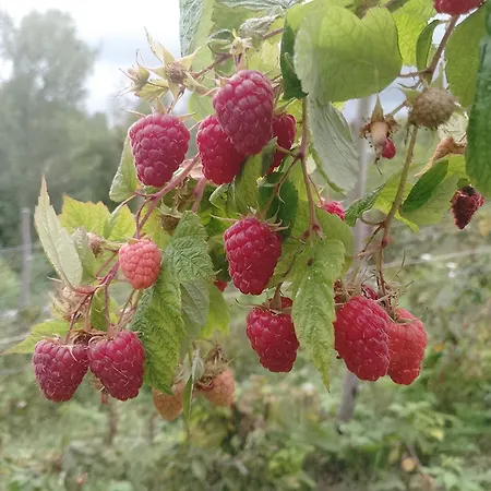 Agroturismo La Vecchia Fontana