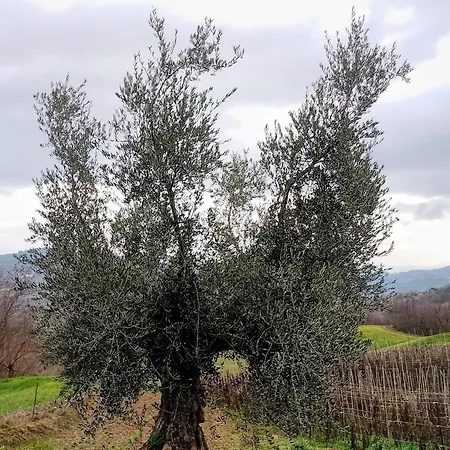 La Vecchia Fontana *