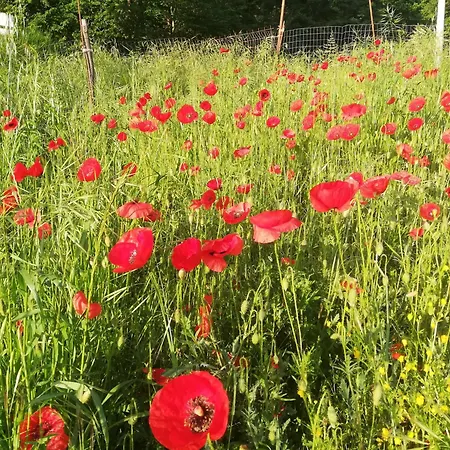 La Vecchia Fontana Séjour à la ferme