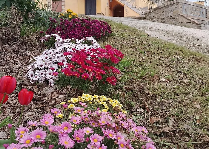 La Vecchia Fontana *