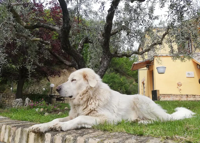 La Vecchia Fontana Agroturismo *