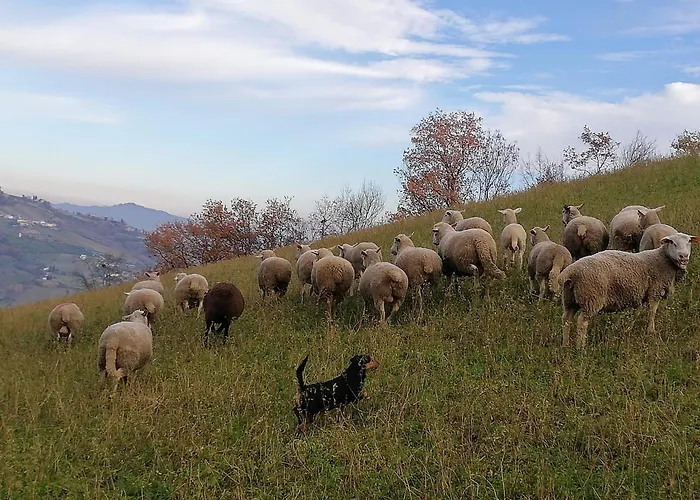 La Vecchia Fontana Agroturismo *