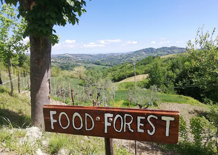 La Vecchia Fontana Agroturismo