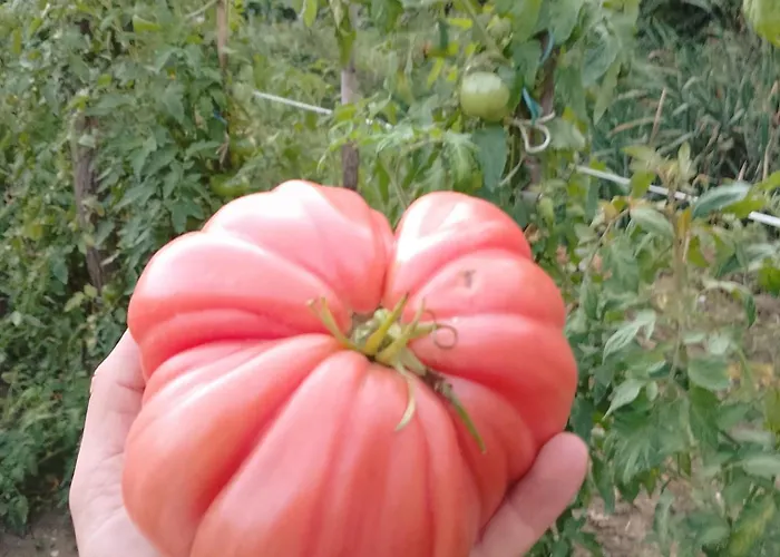 Agroturismo La Vecchia Fontana