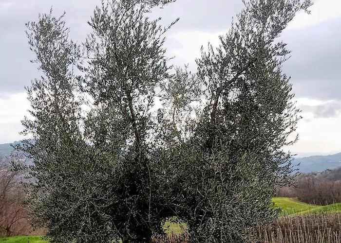 La Vecchia Fontana *