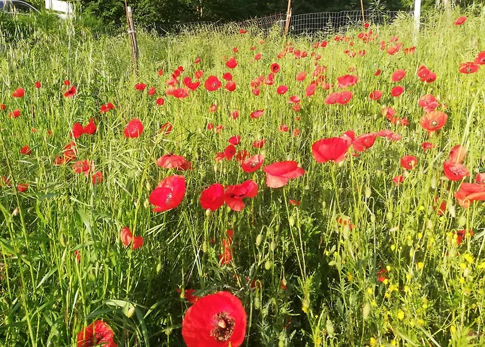 La Vecchia Fontana ファームステイ